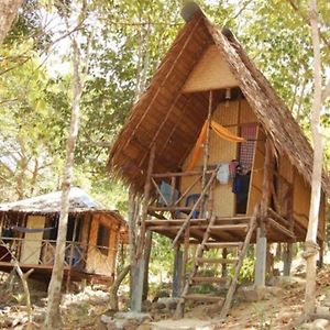 Peace Paradise Resort